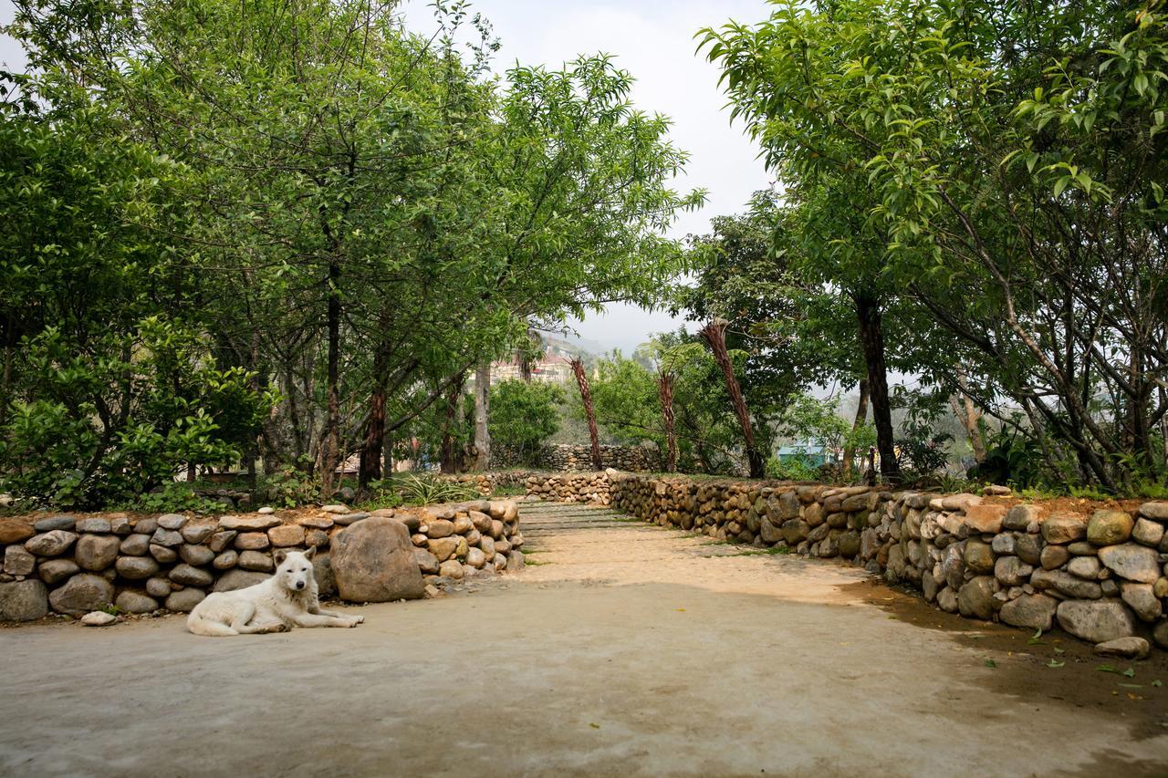 Tavan Riverside Ecolodge Sa Pa Exterior foto